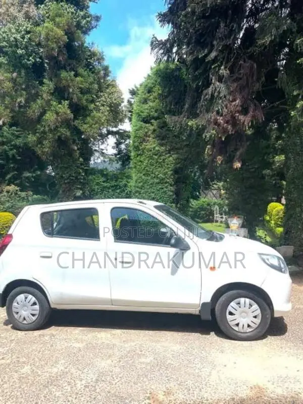Suzuki Alto 2015 Car (Used)