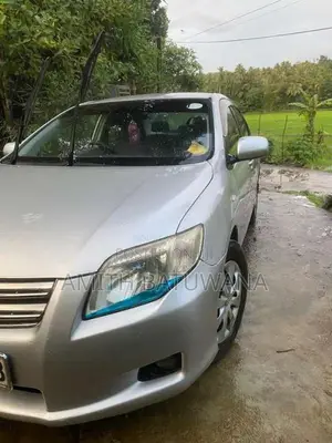 Toyota Axio 2008 Car (Used)