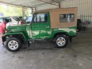 Mitsubishi 4DR5 1980 Car (Used)