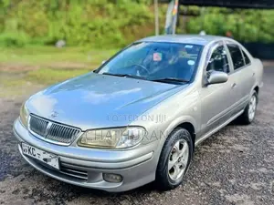 Nissan Bluebird Sylphy 2002 Car (Used)