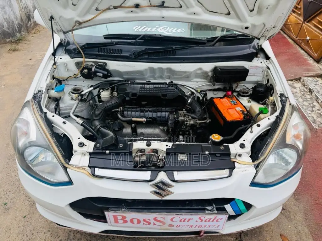 Suzuki Alto 2015 Car (Used)
