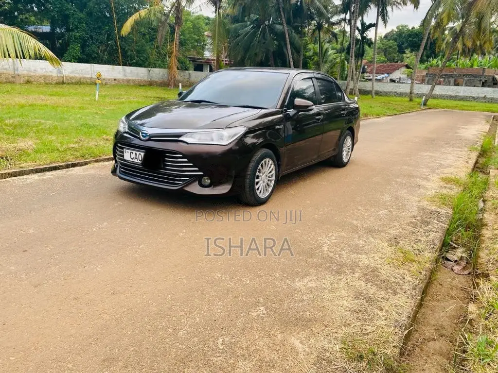 Toyota AXIO G Limited 2015 Car (Used)
