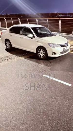 Toyota Axio 2014 Car (Used)