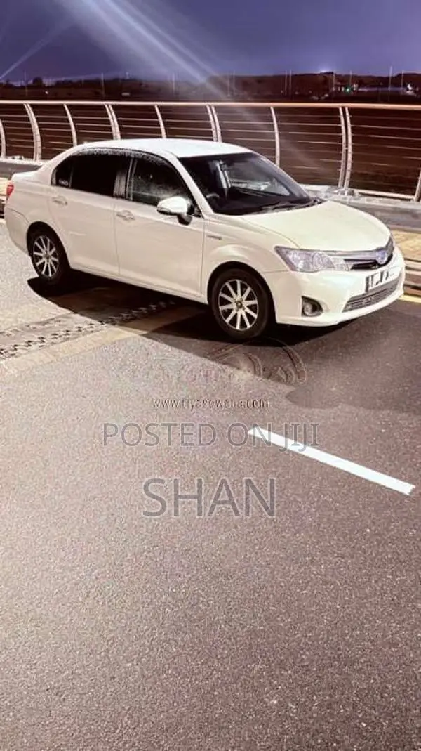 Toyota Axio 2014 Car (Used)