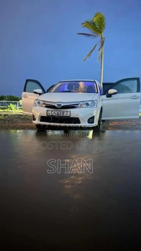 Toyota Axio 2014 Car (Used)