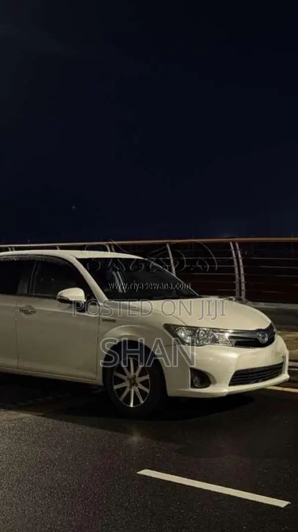 Toyota Axio 2014 Car (Used)