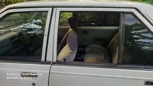 Nissan Sunny 1983 Car (Used)