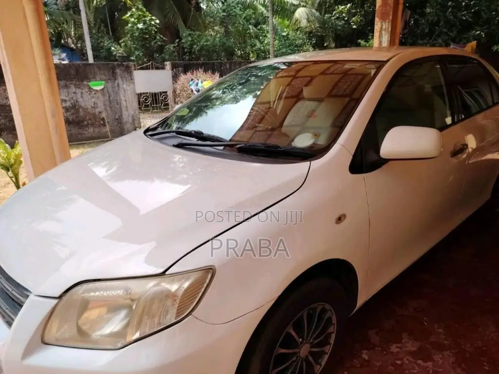 Toyota Axio 2007 Car (Used)