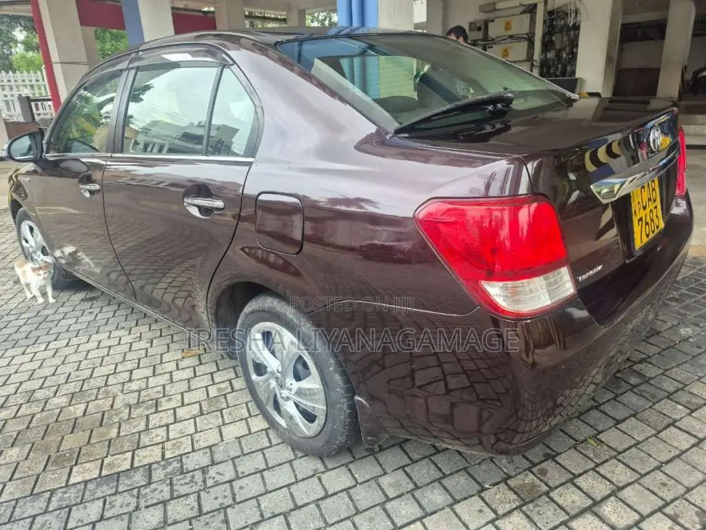 Toyota Axio 2014 Car (Used)