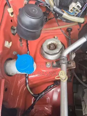 Suzuki Alto 2015 Car (Used)