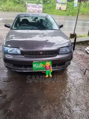 Nissan Bluebird 1992 Car (Used)