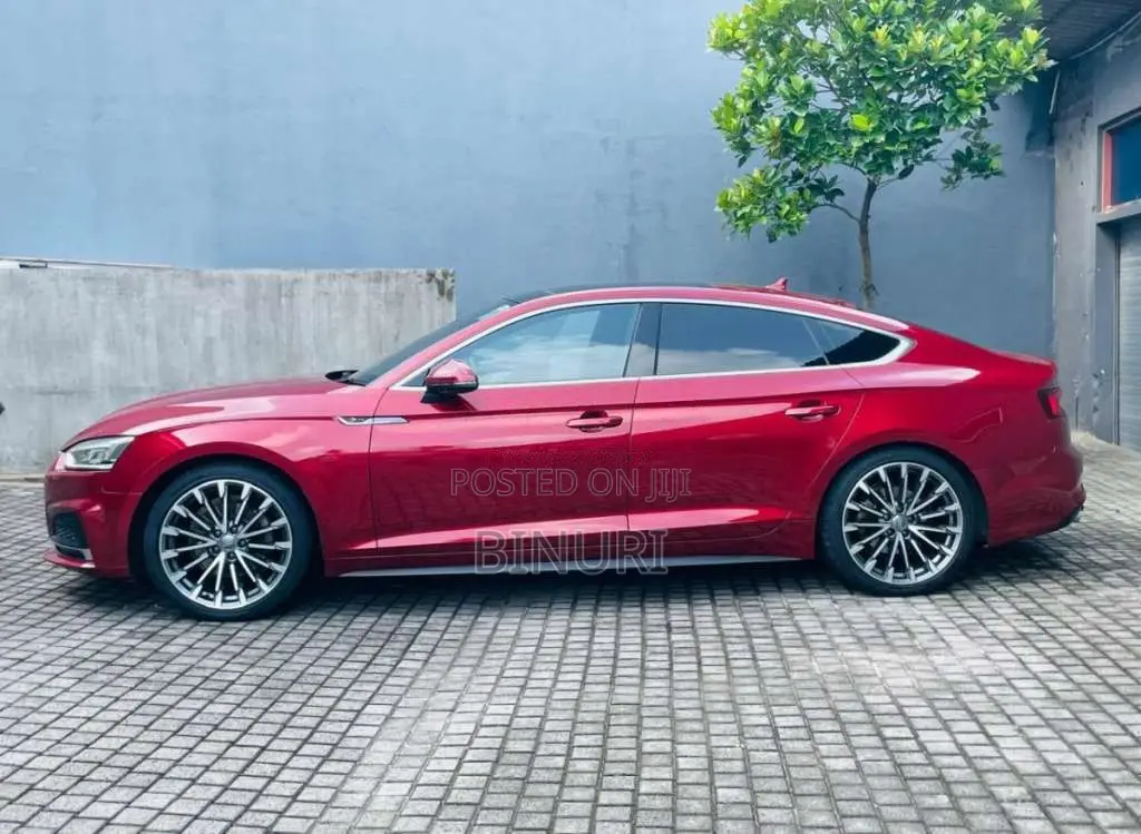 Audi A5 2018 Car (Used)