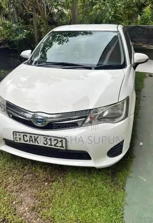 Toyota Axio 2015 Car (Used)