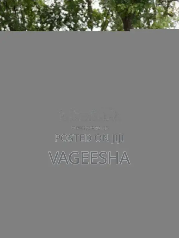 Daihatsu Mira 2024 Car Unregistered (Recondition)