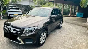 Mercedes-Benz C250 2016 Car (Used)