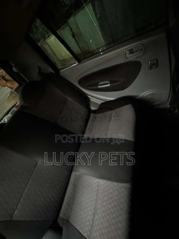 Perodua Viva Elite 2011 Car (Used)