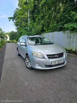 Toyota Axio 2011 Car (Used)