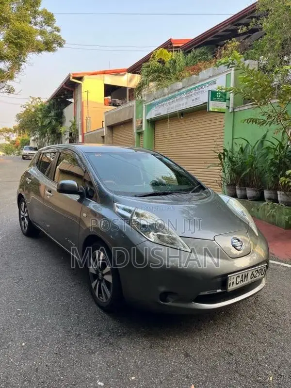 Nissan Leaf 2014 Car (Used)