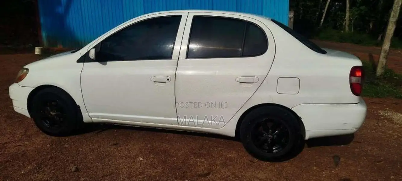 Toyota Platz 2001 Car (Used)