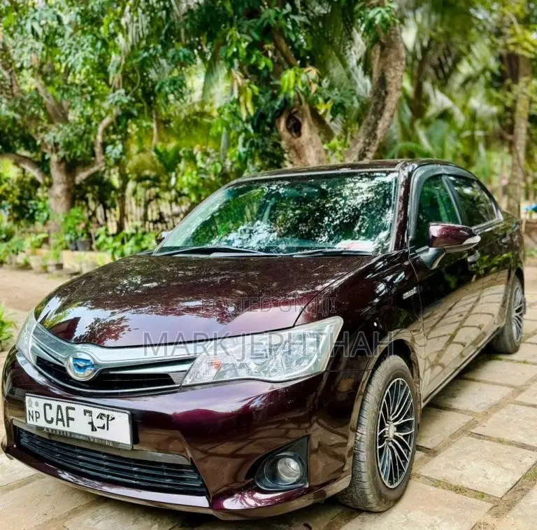 Toyota Axio 2015 Car (Used)