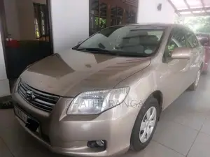Toyota Axio 2007 Car (Used)