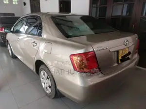 Toyota Axio 2007 Car (Used)