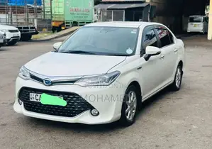Toyota Axio 2016 Car (Used)