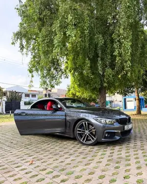BMW 430i 2018 Car (Used)