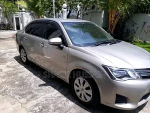 Toyota Axio 2014 Car (Used)