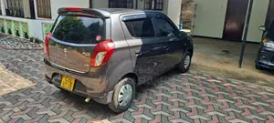 Suzuki Alto 2015 Car (Used)