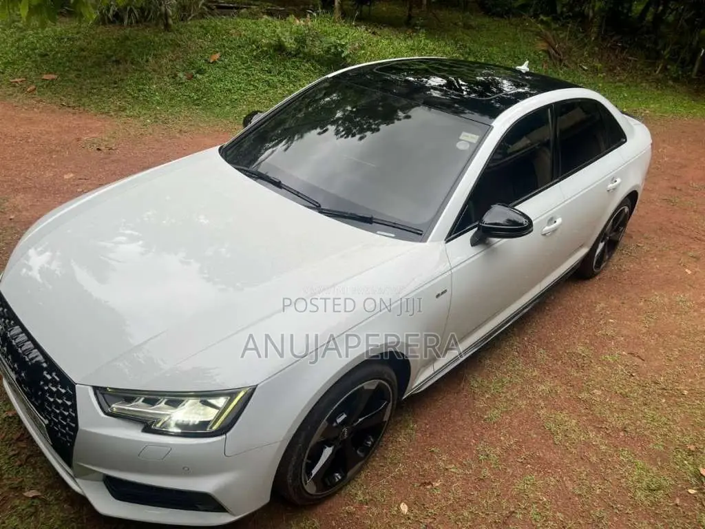 Audi A4 2018 Car (Used)