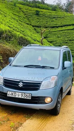Suzuki Wagon R 2011 Car (Used)