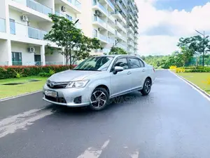 Toyota Axio 2013 Car (Used)