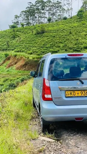 Suzuki Wagon R 2011 Car (Used)