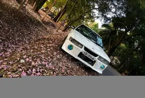 Mitsubishi Galant 1990 Car (Used)