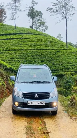 Suzuki Wagon R 2011 Car (Used)
