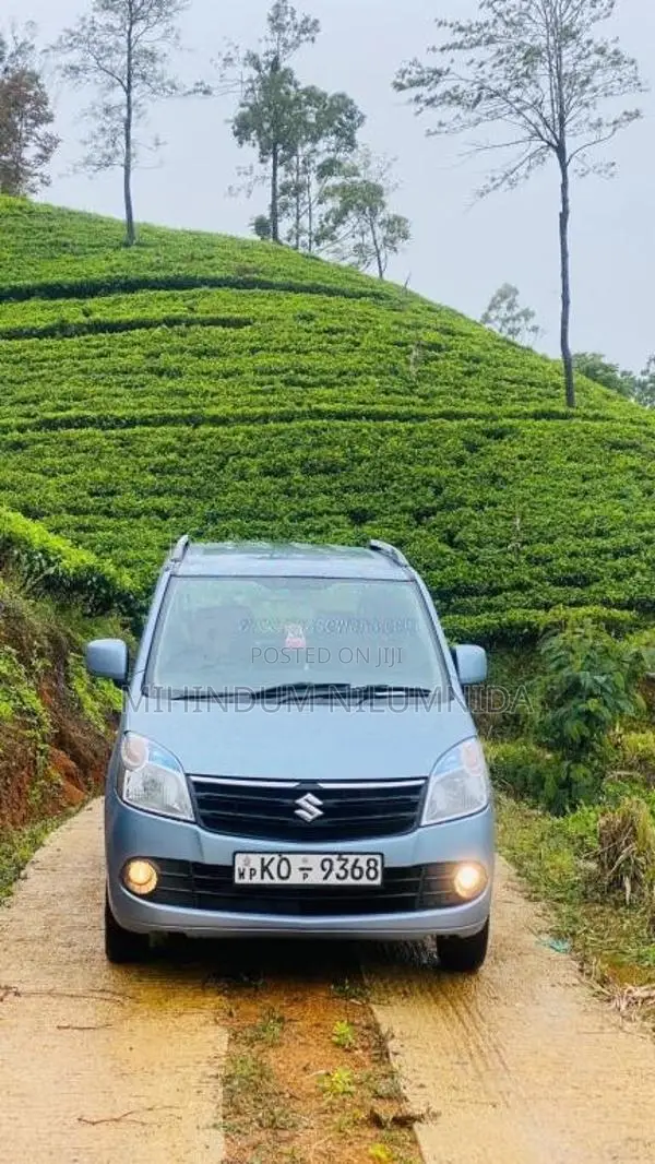 Suzuki Wagon R 2011 Car (Used)