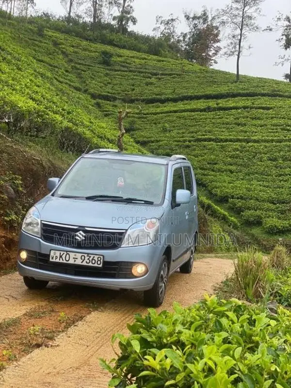 Suzuki Wagon R 2011 Car (Used)