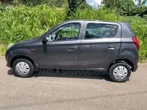 Suzuki Alto 2015 Car (Used)