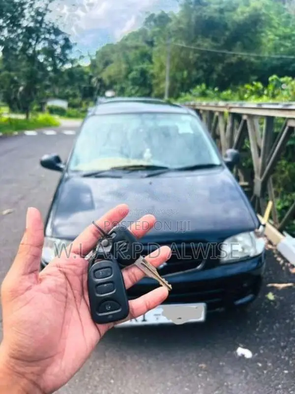 Suzuki Alto 2010 Car (Used)