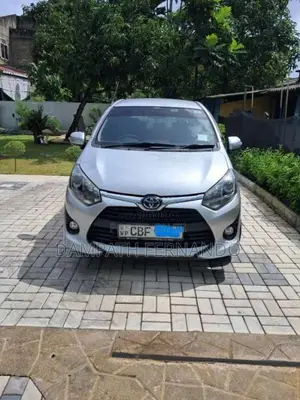 Toyota Wigo 2019 Car (Used)