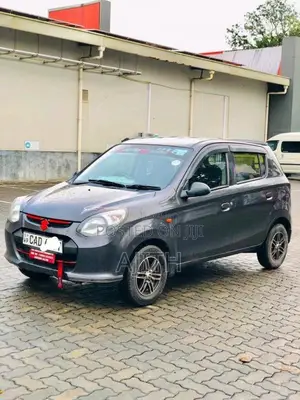 Suzuki Alto 2015 Car (Used)
