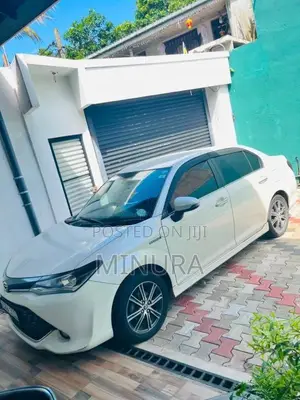 Toyota Axio 2017 Car (Used)