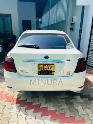 Toyota Axio 2017 Car (Used)