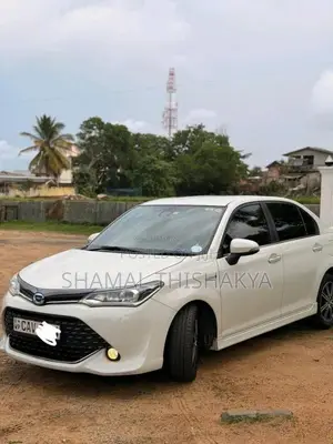 Toyota Axio 2017 Car (Used)