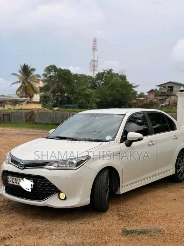 Toyota Axio 2017 Car (Used)