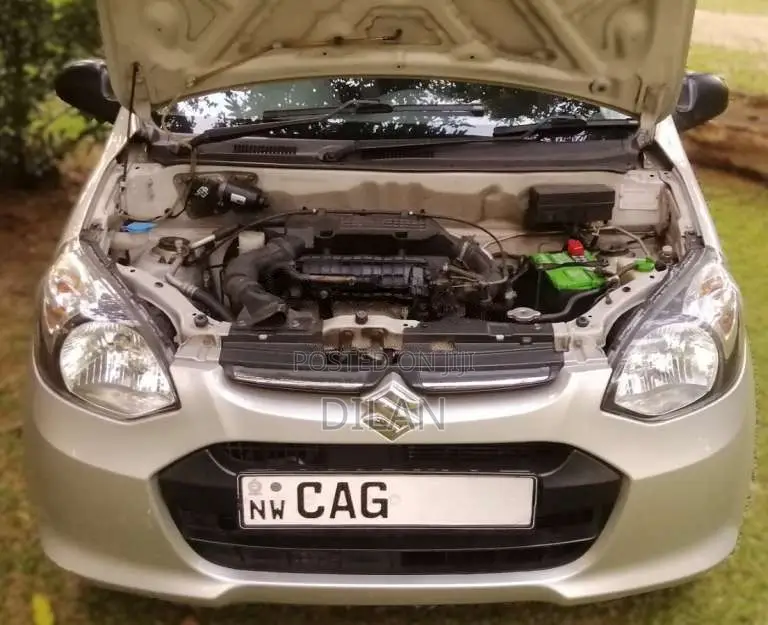 Suzuki Alto 2015 Car (Used)
