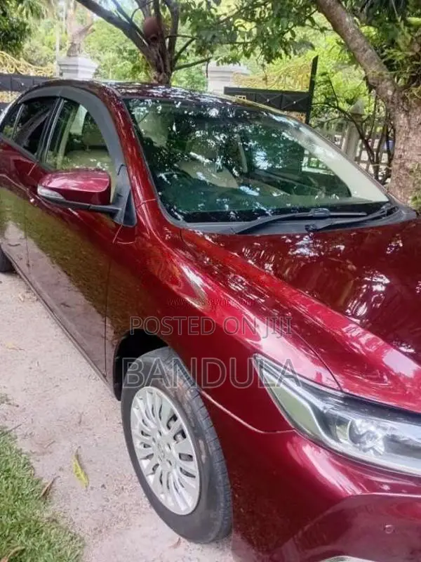 Toyota Allion G Plus 2016 Car (Used)