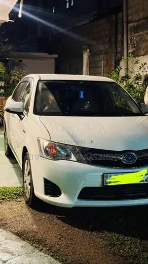 Toyota Axio 2015 Car (Used)