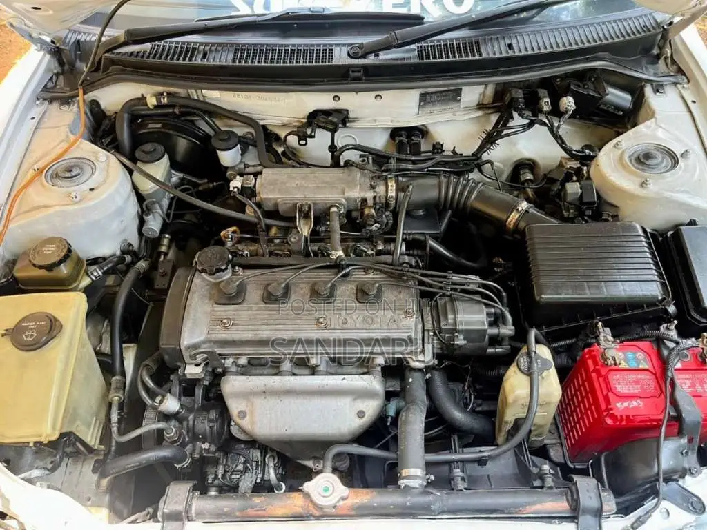 Toyota Corolla EE101 1996 Car (Used)